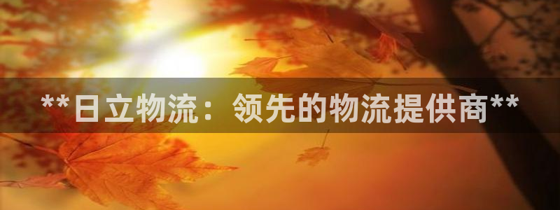 28圈ip被限制怎么解决：**日立物
