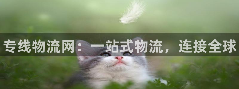 28圈人工客服电话是什么：专线物流网