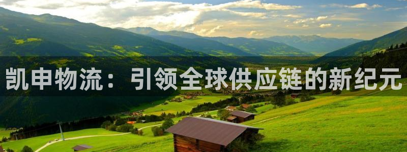 28圈圈助手