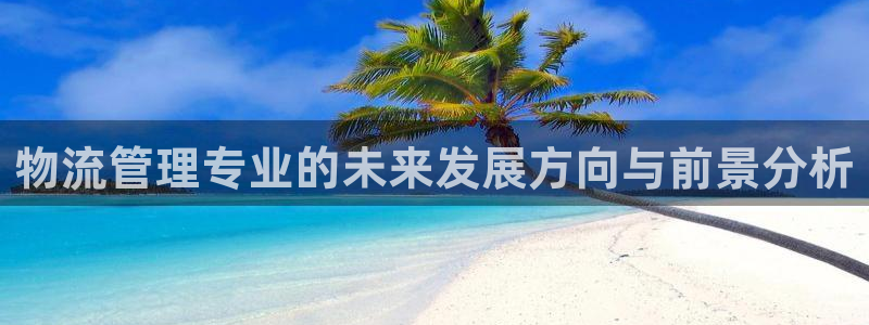 28圈网站平台是多少