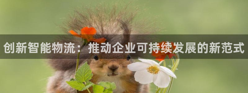 28圈自行车图片