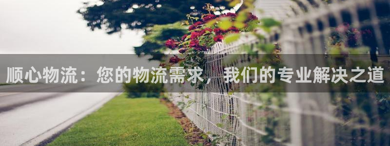 28圈加拿大预测