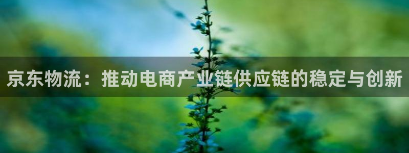28圈游戏