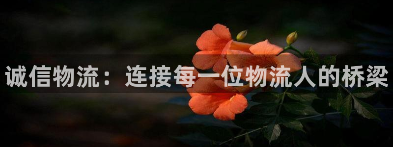 28圈初始资金密码在哪里改