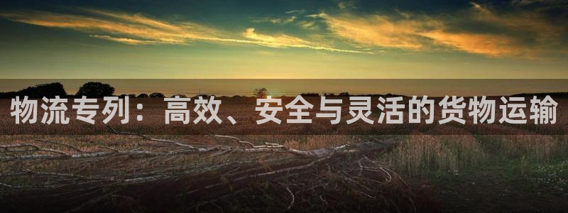 28圈注册链接
