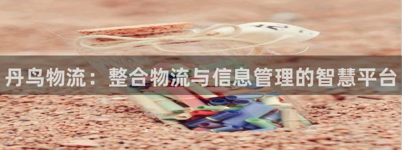 28圈是正规软件吗:丹鸟物流:整合物