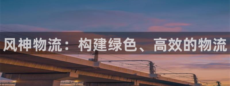 28圈取保:风神物流:构建绿色、高效