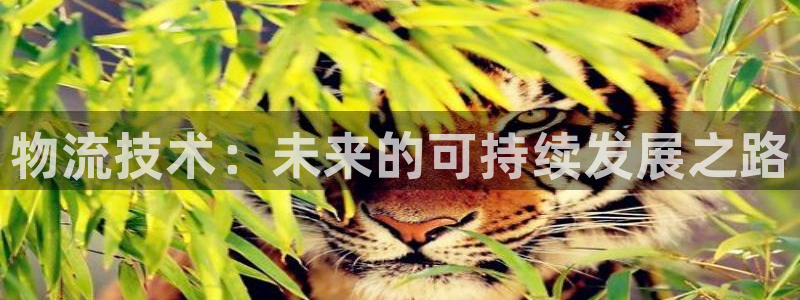 28圈起来的符号:物流技术:未来的可