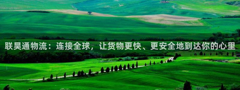 28圈预测网:联昊通物流:连接全球,