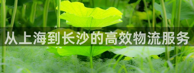 28圈.ccmpc是诈骗吗?:从上海