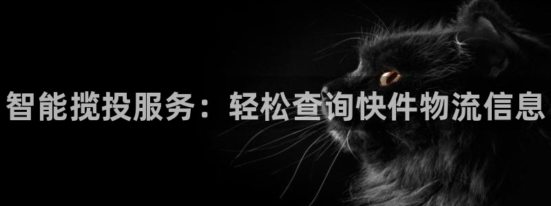 28圈充值方式:智能揽投服务:轻松查