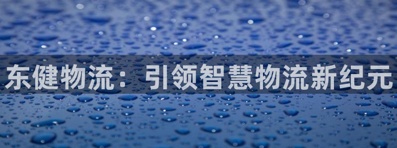 28圈新用户怎么注册：东健物流：引领