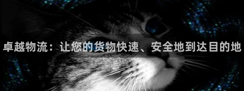 加拿大28圈数字规则