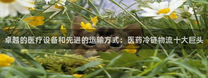 28圈口戒指是多大：卓越的医疗设备和先进的运输方式：医药冷链