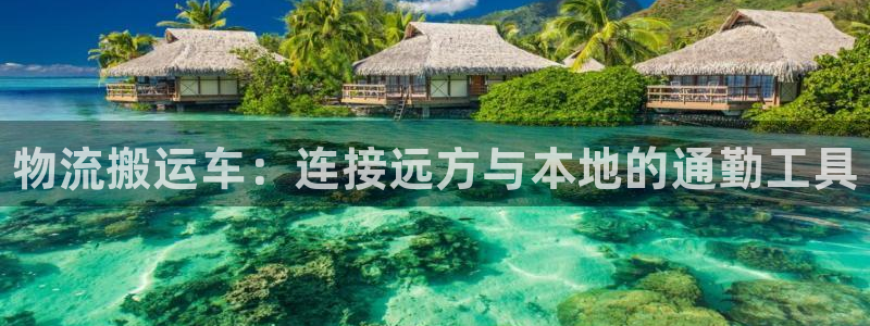 28圈预测加拿大