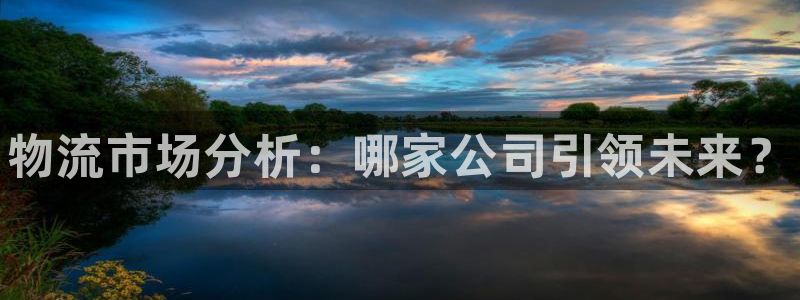 28圈登录流程：物流市场分析：哪家公司引领未来？