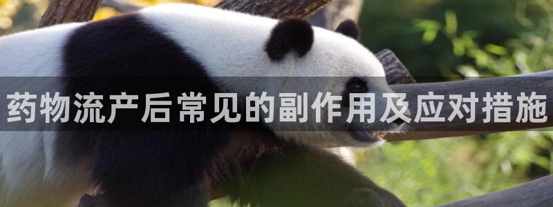 28圈注册与教程