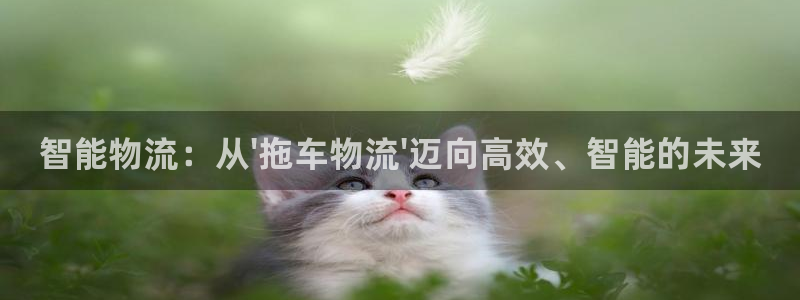 28圈注册限制怎么解除