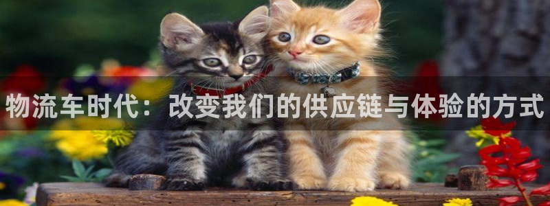 28圈.ccmpc预测：物流车时代：