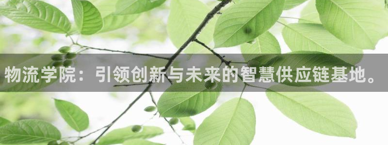28圈初始资金密码是什么