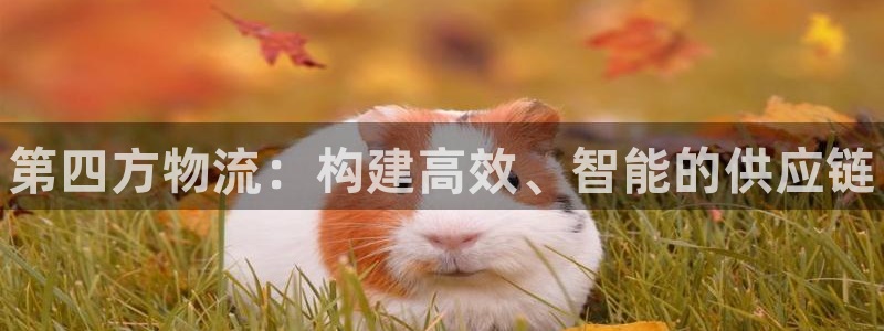 28圈加拿大下载：第四方物流：构建高