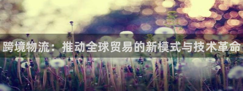 28圈app怎么注销：跨境物流：推动