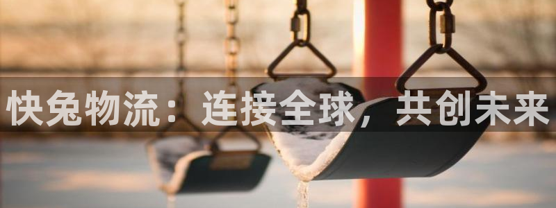 28圈如何看计划：快兔物流：连接全球