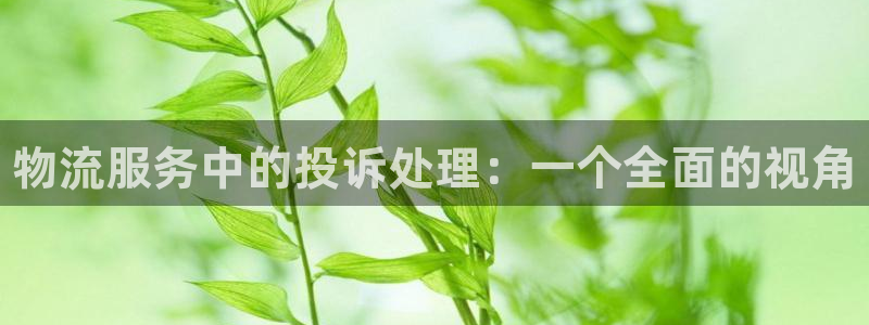 28圈怎么注册下载：物流服务中的投诉