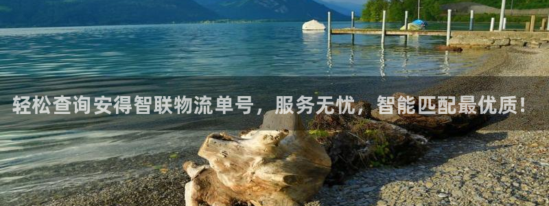 28圈下载体育：轻松查询安得智联物流